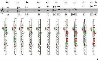长笛欧美吹法图解视频,长笛欧美吹法图解视频精华概述