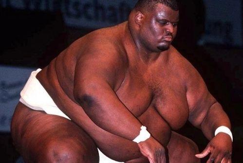 欧美狐狸相扑视频下载,一场别开生面的动物竞技盛宴