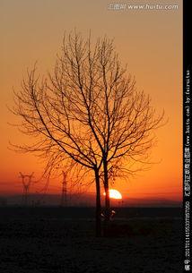 田野日出欧美音乐视频,田野日出欧美音乐视频的视觉盛宴