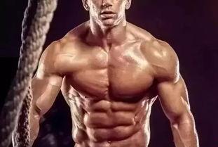 欧美肌肉模仿视频教程,打造完美身材的秘诀解析